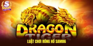 Luật chơi rồng hổ