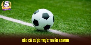 kèo cá cược trực tuyến