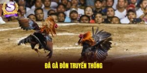 Đá gà đòn truyền thống