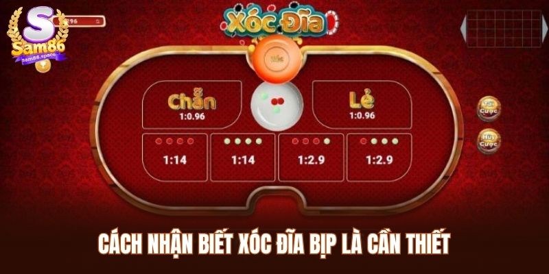 Cách nhận biết xóc đĩa bịp là cần thiết