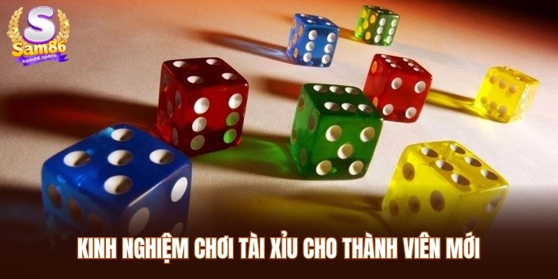Kinh nghiệm chơi tài xỉu cho thành viên mới