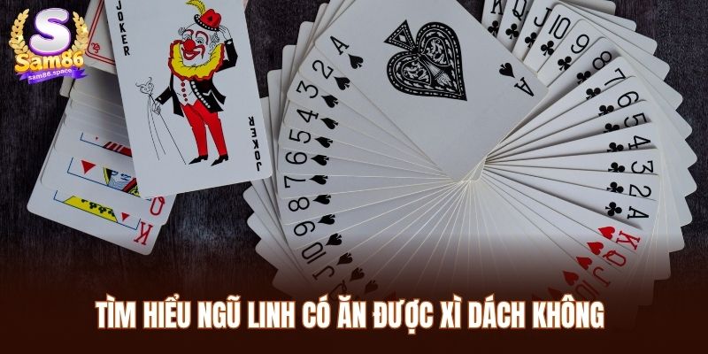 Tìm hiểu ngũ linh có ăn được xì dách không