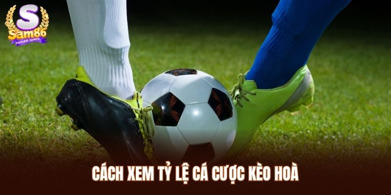 Cách xem tỷ lệ cá cược kèo hoà