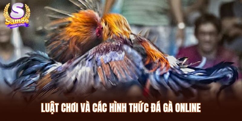 Luật chơi và các hình thức đá gà Sam86