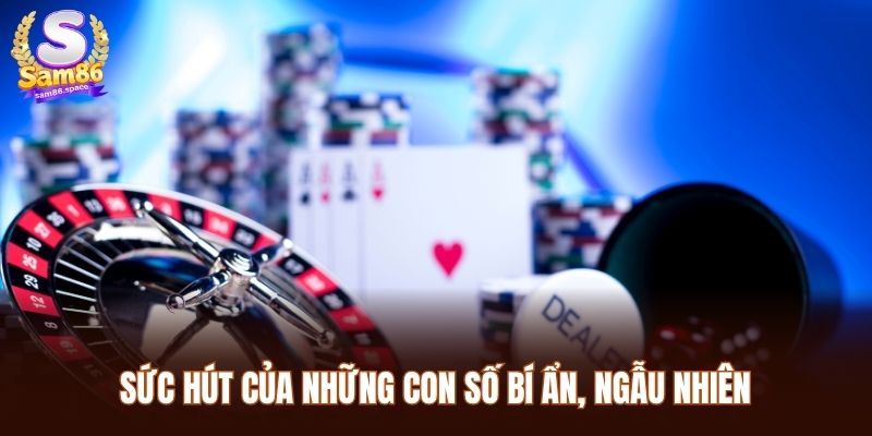 Sức hút của những con số bí ẩn, ngẫu nhiên