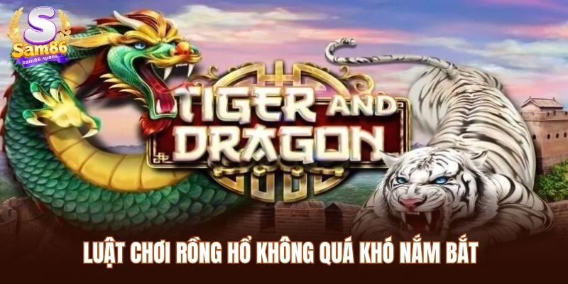 Luật chơi rồng hổ không quá khó nắm bắt