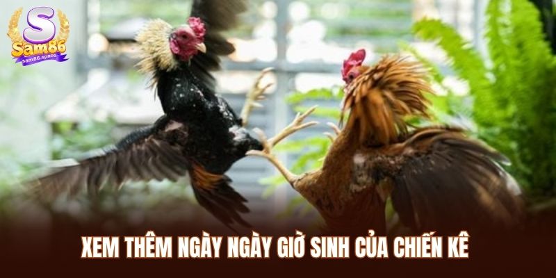 Xem thêm ngày ngày giờ sinh của chiến kê