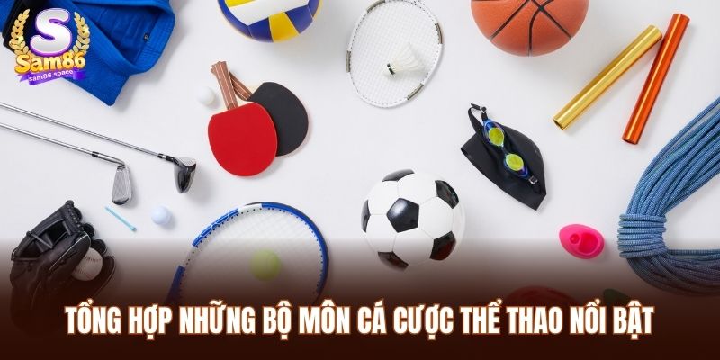 Tổng hợp những bộ môn cá cược thể thao nổi bật bạn nên thử