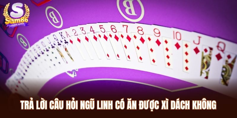 Trả lời câu hỏi ngũ linh có ăn được xì dách không