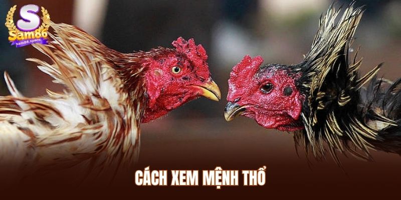 Cách xem mệnh thổ